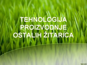 TEHNOLOGIJA PROIZVODNJE OSTALIH ITARICA RA Secale cereale L