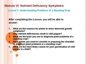 Module VI Nutrient Deficiency Symptoms Lesson 1 Understanding