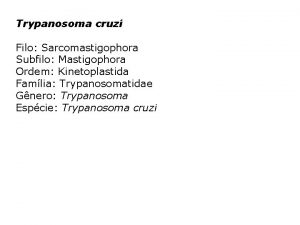 Trypanosoma cruzi Filo Sarcomastigophora Subfilo Mastigophora Ordem Kinetoplastida