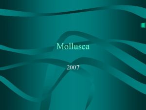 Mollusca 2007 Mollusca Polyplacophora ttkonoci Bivalvia Mli Monoplacophora