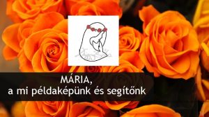 MRIA a mi pldakpnk s segtnk Kisfiam segtenl