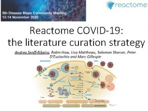Reactome COVID19 the literature curation strategy Andrea SenffRibeiro