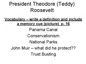 President Theodore Teddy Roosevelt Vocabulary write a definition