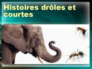 Histoires drles et courtes Histoire drles 1 Lpicier