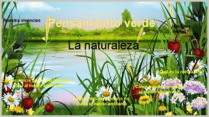 Nuestra vivencias Juego Pensamiento verde Quines somos La