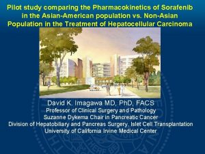 Pilot study comparing the Pharmacokinetics of Sorafenib in