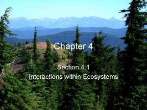 Chapter 4 Section 4 1 Interactions within Ecosystems