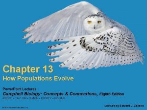 Chapter 13 How Populations Evolve Power Point Lectures