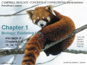 CAMPBELL BIOLOGY CONCEPTS CONNECTIONS NINTH EDITION Power Point