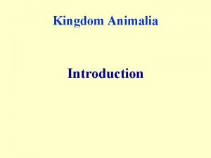 Kingdom Animalia Introduction Kingdom Animalia Chapters 32 33