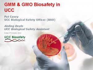 GMM GMO Biosafety in UCC Pat Casey UCC