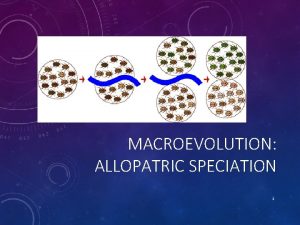 MACROEVOLUTION ALLOPATRIC SPECIATION 1 LOOKS CAN BE DECEIVING