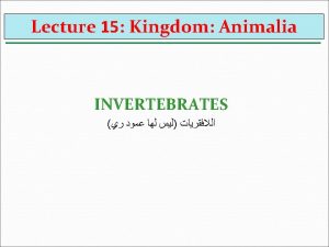 Lecture 15 Kingdom Animalia INVERTEBRATES 4 Phylum Nematoda