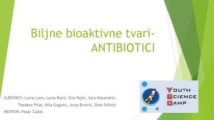 Biljne bioaktivne tvari ANTIBIOTICI SUDIONICI Lucia Lyon Lucia