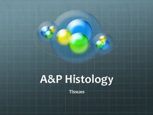 AP Histology Tissues Histology What is histology Histology