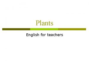 Plants English for teachers Plants Garlic Plants Bean