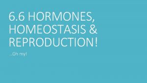 6 6 HORMONES HOMEOSTASIS REPRODUCTION Oh my Homeostasis