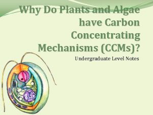 Why Do Plants and Algae have Carbon Concentrating