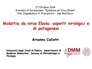 17 Ottobre 2014 Giornata di formazione Epidemia da