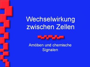 Wechselwirkung zwischen Zellen Amben und chemische Signalen DICTYa