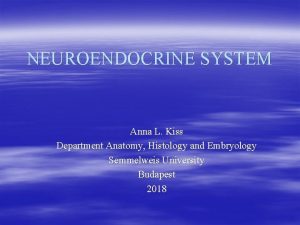 NEUROENDOCRINE SYSTEM Anna L Kiss Department Anatomy Histology