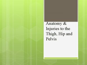 Anatomy Injuries to the Thigh Hip and Pelvis