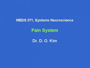 MEDS 371 Systems Neuroscience Pain System Dr D