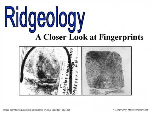 A Closer Look at Fingerprints Image from ftp