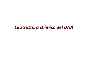 La struttura chimica del DNA Componenti chimici degli