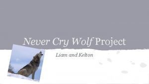 Never Cry Wolf Project Liam and Kelton BlurbSummary