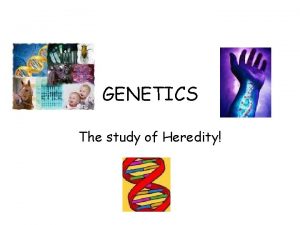 GENETICS The study of Heredity Heredity Deals with