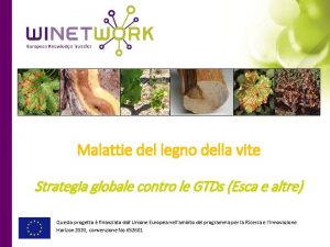 Malattie del legno della vite Strategia globale contro