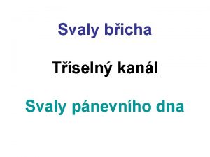 Svaly bicha Tseln kanl Svaly pnevnho dna Musculi