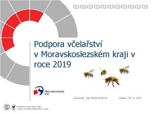 Podpora velastv v Moravskoslezskm kraji v roce 2019