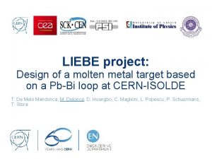LIEBE project Design of a molten metal target