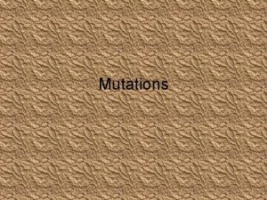 Mutations Point Mutation A point mutation is a