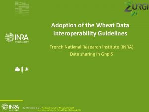 Adoption of the Wheat Data Interoperability Guidelines French