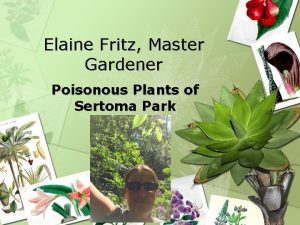 Elaine Fritz Master Gardener Poisonous Plants of Sertoma