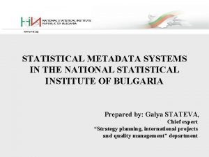 STATISTICAL METADATA SYSTEMS IN THE NATIONAL STATISTICAL INSTITUTE