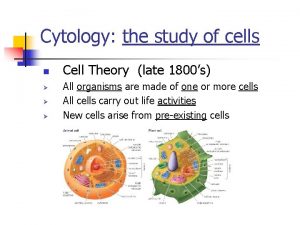 Cytology the study of cells n Cell Theory