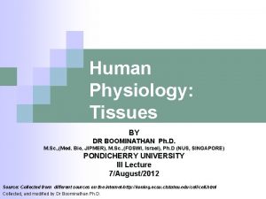 Human Physiology Tissues BY DR BOOMINATHAN Ph D