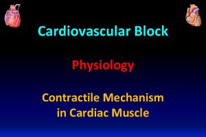 Cardiovascular Block Physiology Contractile Mechanism in Cardiac Muscle