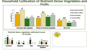 Household Cultivation of Nutrient Dense Vegetables and Fruits
