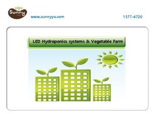www sunnyya com LED Hydroponics systems Vegetable Farm