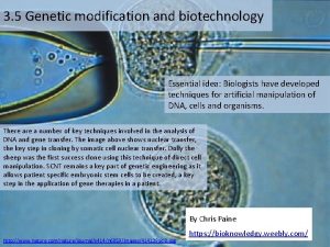 3 5 Genetic modification and biotechnology Essential idea