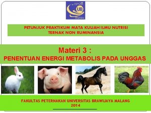 PETUNJUK PRAKTIKUM MATA KULIAH ILMU NUTRISI TERNAK NON