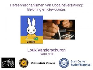 Hersenmechanismen van Cocaneverslaving Beloning en Gewoontes Louk Vanderschuren