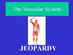 The Muscular System JEOPARDY All the Right Moves