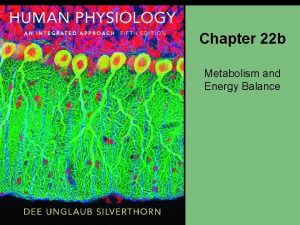 Chapter 22 b Metabolism and Energy Balance Homeostatic