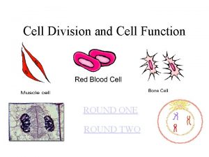 Cell Division and Cell Function ROUND ONE ROUND